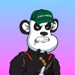 B-ball Pandas #1310