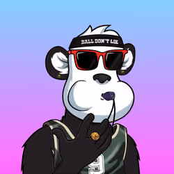 B-ball Pandas #300