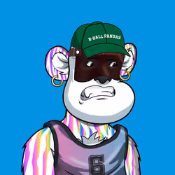 B-ball Pandas #307