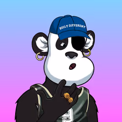 B-ball Pandas #1869