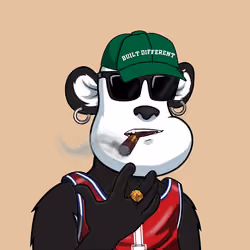 B-ball Pandas #517