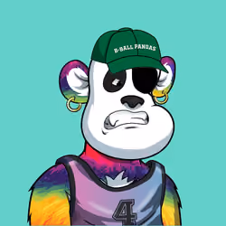 B-ball Pandas #1384