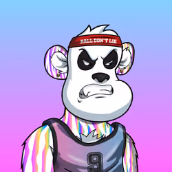 B-ball Pandas #1554