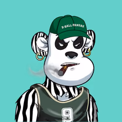 B-ball Pandas #1973