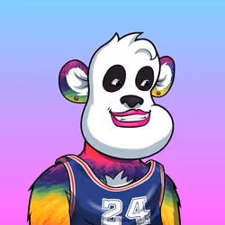 B-ball Pandas #242