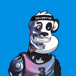 B-ball Pandas #544