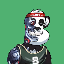 B-ball Pandas #673