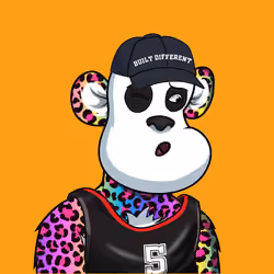 B-ball Pandas #608