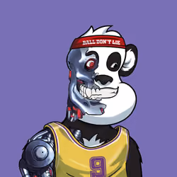 B-ball Pandas #418