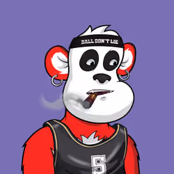 B-ball Pandas #1697