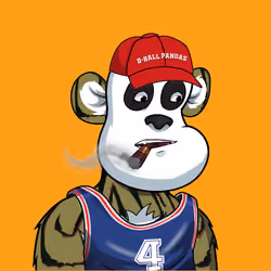 B-ball Pandas #1818