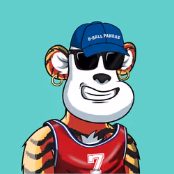 B-ball Pandas #417