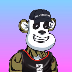 B-ball Pandas #1116