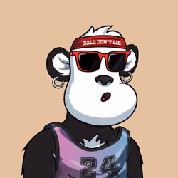 B-ball Pandas #1791