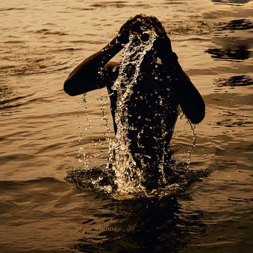 IMMERSED IN SOLITUDE