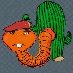 62