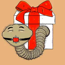 43