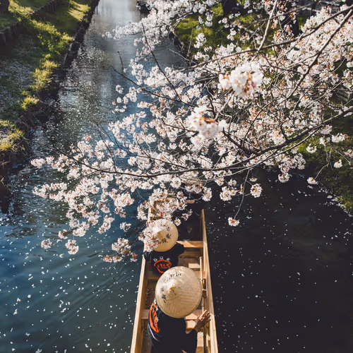 Everlasting moments