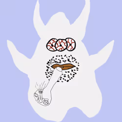 Ghost #239