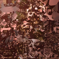 Skeleton Yard 