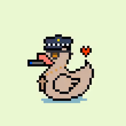 LazyDuck #218