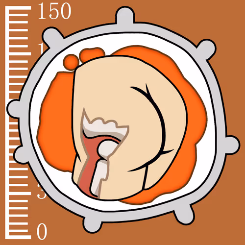 Item #387 Media