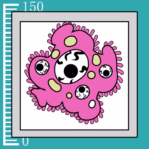 Item #635 Media