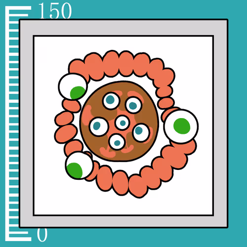 Item #609 Media