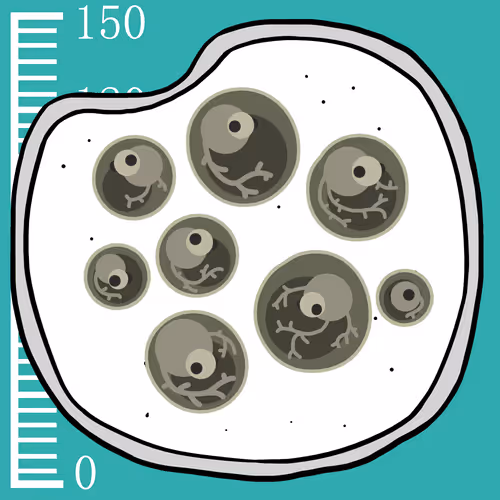 Item #48 Media