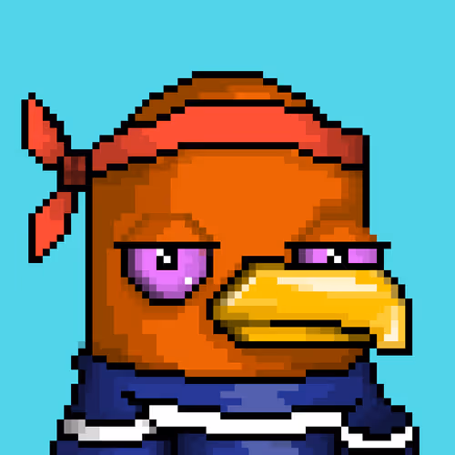 Seabirdsofficial