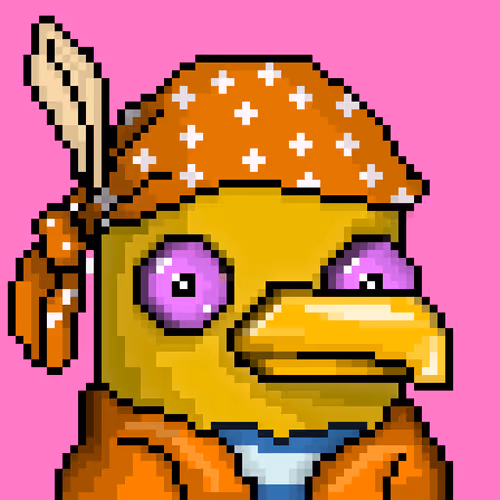 Seabirdsofficial