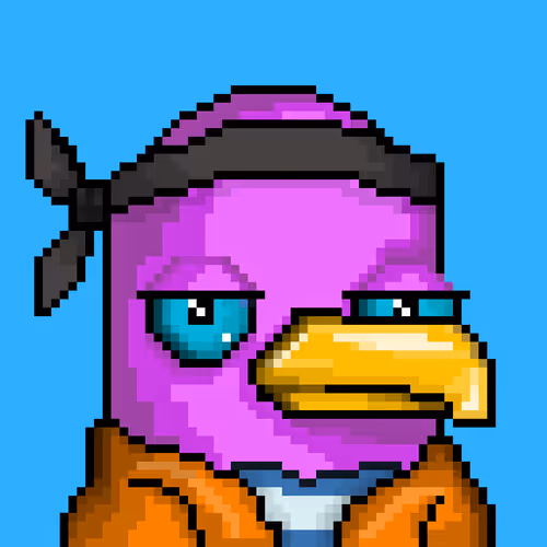 Seabirdsofficial
