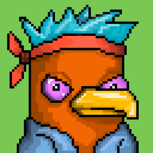 Seabirdsofficial