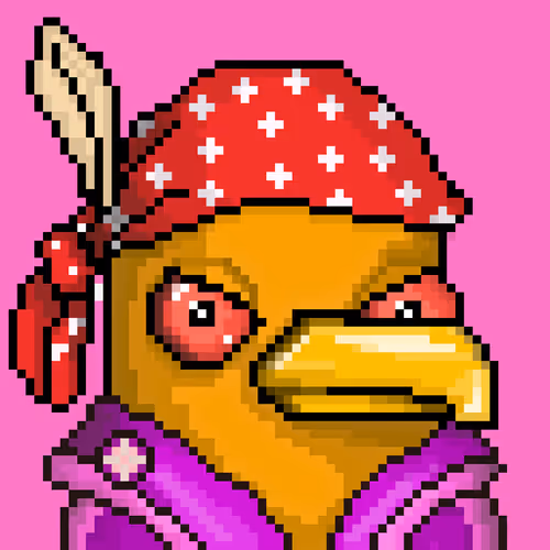 Seabirdsofficial