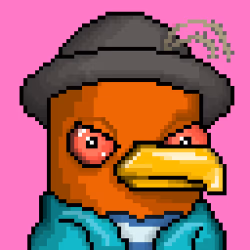 Seabirdsofficial