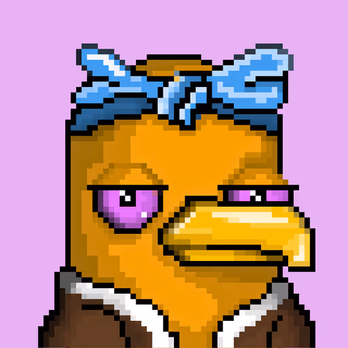 Seabirdsofficial