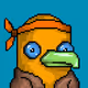 Seabirds