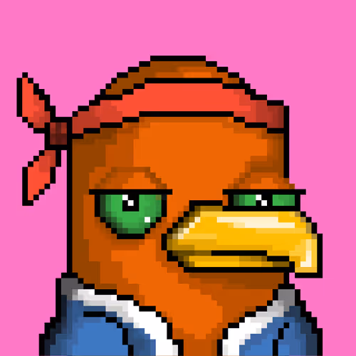 Seabirdsofficial