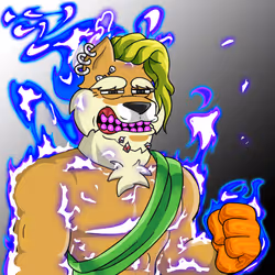 537