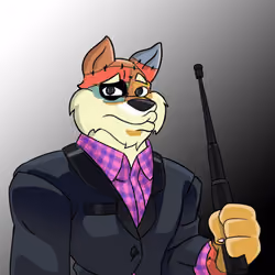 509