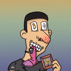 Crypto Idiot#06950