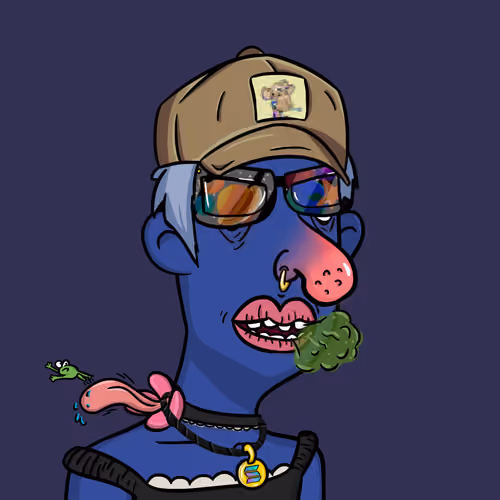 Crypto Idiot#06956