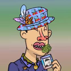 Crypto Idiot#00518