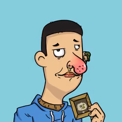 Crypto Idiot#02230