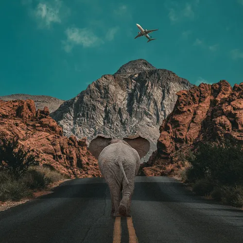A Nice Drive
