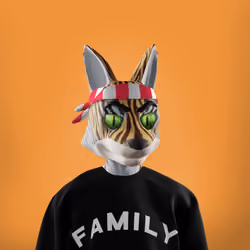 Swipa The Fox #1525