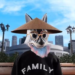 Swipa The Fox #163