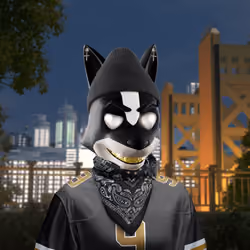 Swipa The Fox #4763