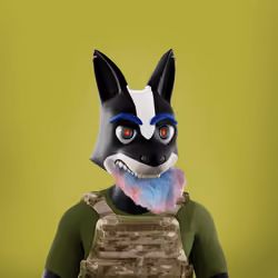 Swipa The Fox #1613