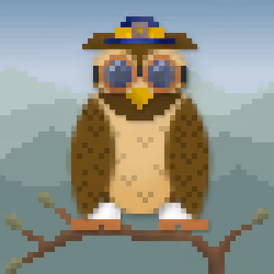 CryptoHoot No. 504